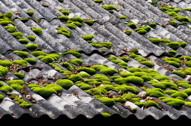 Nettoyage de toiture en fibro ciment : astuces et conseils
